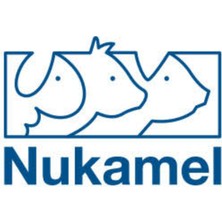 Diriliş Nukamel Yellow(Buzağı Maması 25KG )