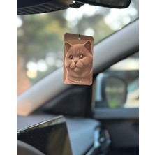 Lovein Crafts 10 Adet Premium Oto Araç Kokusu British Shorthair Otomobil Çift Taraflı Araba Kokusu
