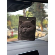 Lovein Crafts 10 Adet Premium Oto Araç Kokusu British Shorthair Otomobil Çift Taraflı Araba Kokusu