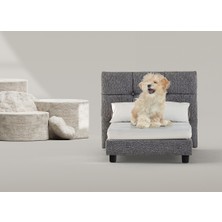 Ayle Bedding Evcil Hayvan Yatağı Royal Paw