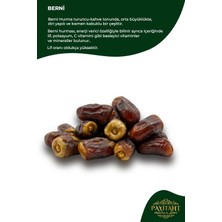 Payitaht Hurma Medine Mebrum Duble Hurma 12 Li Paket - 100 gr Türk Damak Tadına Uygun Tadımlık Hac Dönüşü Hediyelik Hurma
