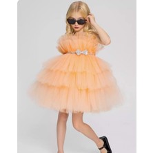 Mnk Baby & Kids Saten Kumaş , Tütülü Nimfea Kız Çocuk Abiye Elbise MNK0597