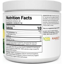 Dr. Berg Usda Certified Raw Organic Green Powder Superfood (60 Servings) - Raw Wheatgrass, Chlorophyll, Trace Minerals & Natural Enzymes
