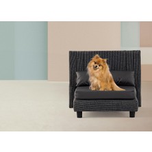 Ayle Bedding Evcil Hayvan Yatağı Pure Paw Shadow
