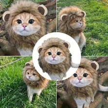 Kedi Kostümü Aslan Yelesi