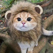 Kedi Kostümü Aslan Yelesi