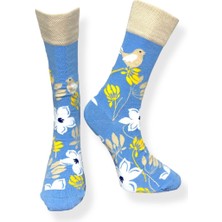 Me-Vo Tekli  Kuş Desenli Mavi Renkli Esnek Nem Alabilen Pamuklu Çorap