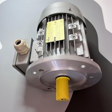 SEİPEE JM 90S4B5 MARKA ELEKTRİK MOTORU