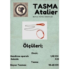 Büyük Boy Zincirli Boyundan Bağlamalı Gezdirme Köpek Tasması