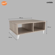 Modilayn Tv Ünitesi Takımı 3 Lü Set