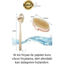 Svein Premium %100 Doğal At Kılı Banyo Fırçası 