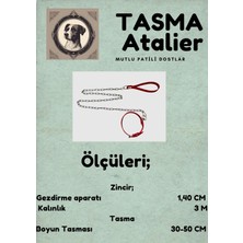Tasma Atalier Orta Boy Zincirli Boyundan Bağlamalı Gezdirme Tasması