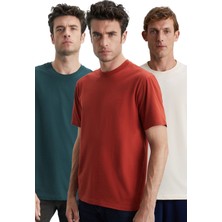 Grimelange Cultıvated Erkek 3'lü Kalın Dokulu Regular %100 Organik Pamuk Vnly/kyeşil/krmt T-shirt