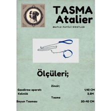 Küçük Boy Yavru Köpekler Için Zincirli Boyundan Bağlamalı Gezdirme Tasması