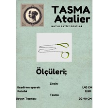 Küçük Boy Yavru Köpekler Için Zincirli Boyundan Bağlamalı Gezdirme Tasması