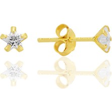 Gümüş Zirkon Taşlı, Altın Yaldızlı, Yıldız Kesim 4 mm Tektaş Küpe SGTL12736GOLD