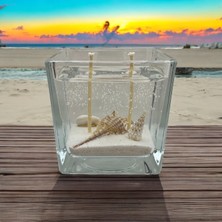 Luminova Gerçek Deniz Kabuklarıyla Hazırlanmış Jel Mum 8 x 8 cm