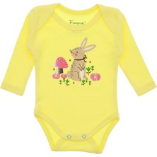 Bebek Body Tavşanlı