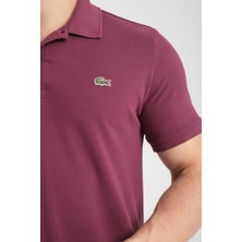 Lacoste  Polo Classıc Fit Mürdüm