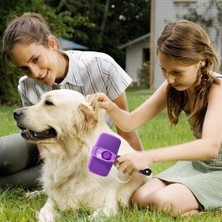 Alpotekno Otomatik Temizlenebilen Tuşlu Pratik Kedi Köpek Tüy Toplama Fırçası