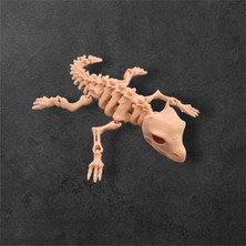 Dna Studio 3D Iskelet Bukalemun Figür Anahtarlık