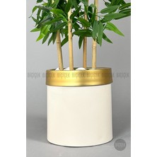 Biçiçek Yapay Bambu Ağacı 140CM Krem Gold Metal Saksıda