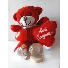 Akın Aksesuar Sevgililer Günü Doğum Günü Yıldönümü Yılbaşı Sevgiliye Hediye Peluş Ayı Işıklı Küre Ledli