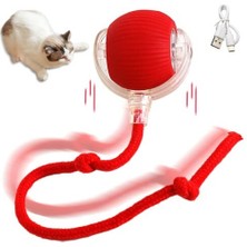 Periboia Şarjlı Kedi Oyuncağı