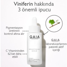 Gaia London Dolgunlaştırıcı Bakım Seti Serum 50ml & Krem 50ml& Oil 100 ml