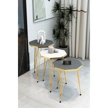 3'lü Sekizgen Zigon Sehpa Seti - Gold Metal Ayaklı, Modern & Şık Yan Sehpa, Dayanıklı Salon Ofis