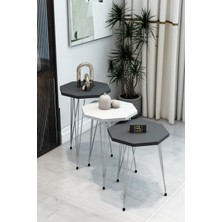 3'lü Sekizgen Zigon Sehpa Seti - Gümüş Metal Ayaklı, Modern & Şık Yan Sehpa, Dayanıklı Salon Ofis