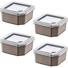 Smartware 4'Lü Q-Box Saklama Kabı Terra 1000 ML