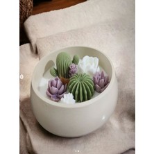 Magno Candles Saksıda 8'li Kaküs Seti Mum✨️