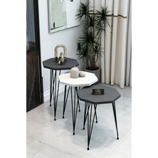 3'lü Sekizgen Zigon Sehpa Seti - Siyah Metal Ayaklı, Modern & Şık Yan Sehpa, Dayanıklı Salon Ofis