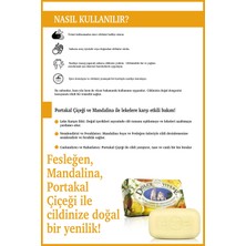 Nesti Dante Dolce Vivere Capri Katı Sabun 250 gr | Leke Karşıtı | Mandalina, Fesleğen, Portakal Çiçeği