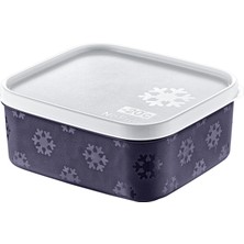 Smartware No Frost Saklama Kabı 700 ml