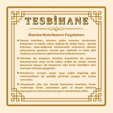 Tesbihname Gökkuşağı Renkli Doğal Damla Kehribar Taşlı Kadın Kolye