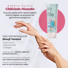 Farm Skin Snail Tone Up Cream Cilt Ton Eşitleyici Salyangoz Krem Eşitleyici Niacinamide Kore 70ml