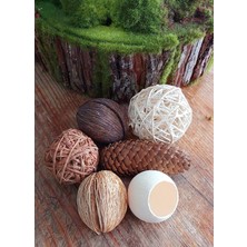 Lolipophobi Kurutulmuş Doğal Obje Aparat, Dekor, Ev Dekor, Salon Dekor, Masa Dekor