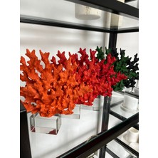 7SEP Collection Açık Turuncu Mercan Obje