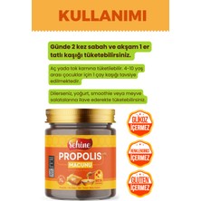 Sehine Propolis Macunu 240 Gr