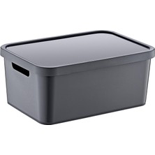 Smartware Stafi Çok Amaçlı Kapaklı Kutu 4,5 Lt