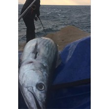 S.F. Jig Shore Pro 80G - Palamut Lüfer Levrek Turna Için Jig Yem