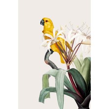 Aden Kuş ve Çiçek  Dekoratif Kanvas Tablo