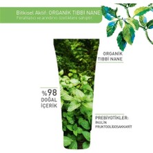 Yves Rocher Pure Menthe Karma,Yağlı, Gözenek Tıkanıklığı Bitkisel Kömür Maske 75ml