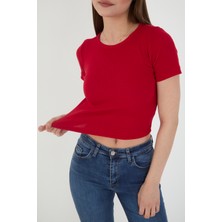 Wearflawless Kadın Bisiklet Yaka Fitilli Kısa Kol Body Crop Bluz