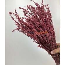 Ipek Hobi Bordo Renk  Şoklanmış Lavanta Buketi