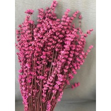 Ipek Hobi Pembe Şoklanmış Lavanta Buketi