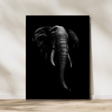 Elephant In Darkness Kanvas Tablo