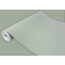 D-C-Fix 176-0688 Düz Mat Çağla Yeşil Kendinden Yapışkanlı Folyo ( 45  cm  x 1 mt )